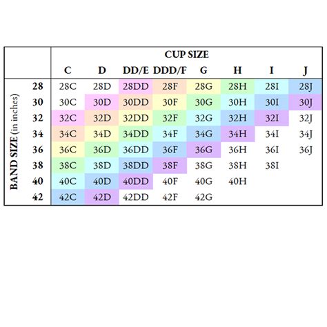 versace bra size chart